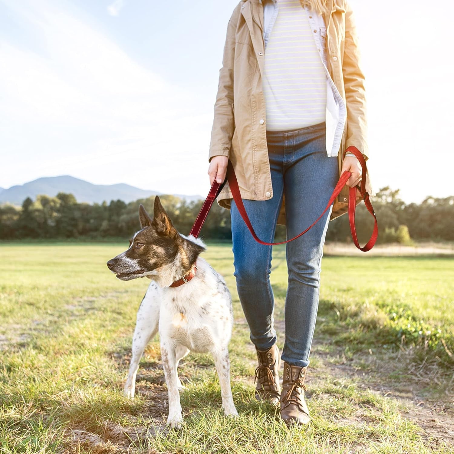 4FT 1IN Durable Red Dog Leash with Dual Padded Handles and Traffic Control, Featuring Comfortable Grip, Auto Lock Hook, and Reflective Design for Small to Large Dogs