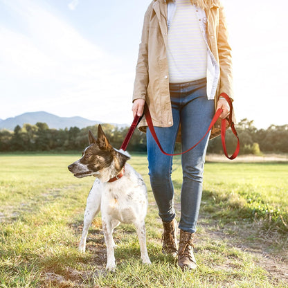 4FT 1IN Durable Red Dog Leash with Dual Padded Handles and Traffic Control, Featuring Comfortable Grip, Auto Lock Hook, and Reflective Design for Small to Large Dogs