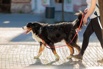 4FT 1IN Durable Red Dog Leash with Dual Padded Handles and Traffic Control, Featuring Comfortable Grip, Auto Lock Hook, and Reflective Design for Small to Large Dogs